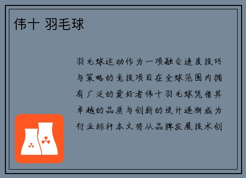 伟十 羽毛球