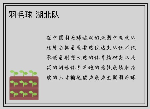 羽毛球 湖北队